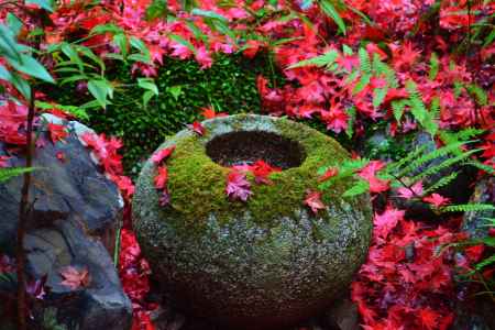 紅葉と手水鉢　