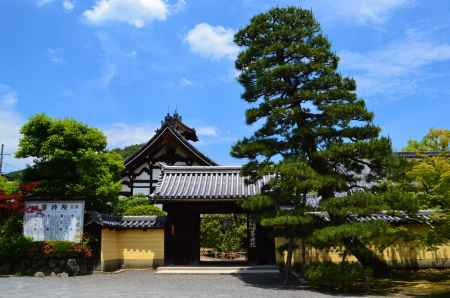 山門と松　等持院