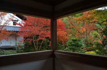 赤と緑のコントラスト