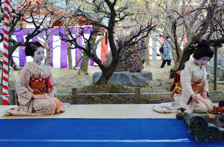梅花祭　野点