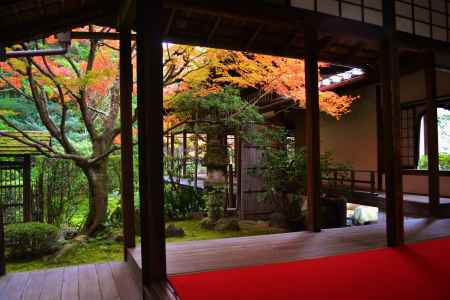 桂春院の紅葉