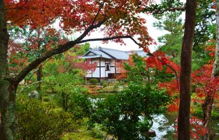 紅葉　等持院