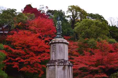 紅に染まる観音様　友禅苑