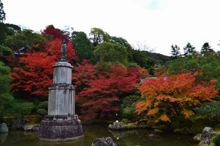 友禅苑の紅葉　知恩院