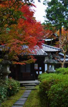 来迎院の紅葉