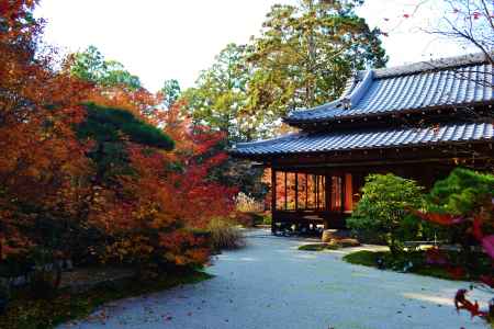 紅葉　天授庵書院前庭