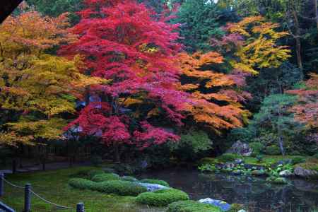 紅のグラデーション