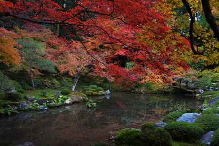 南禅院の紅葉