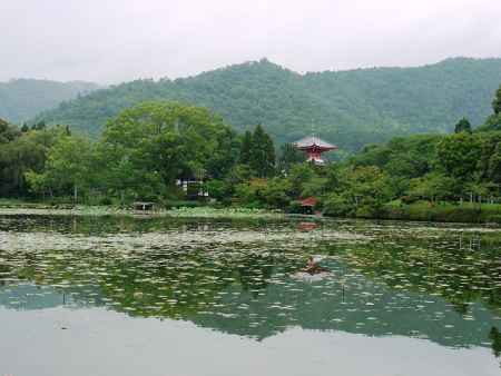 大覚寺　大沢の池　