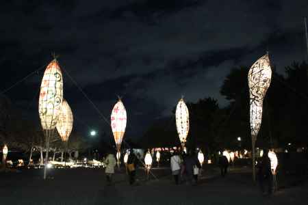 嵐山公園 花灯路