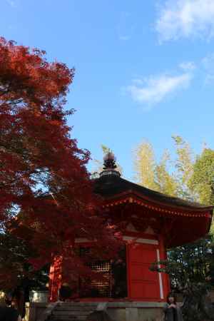東福寺の紅葉4