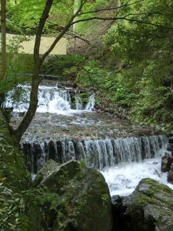 貴船神社　貴船川