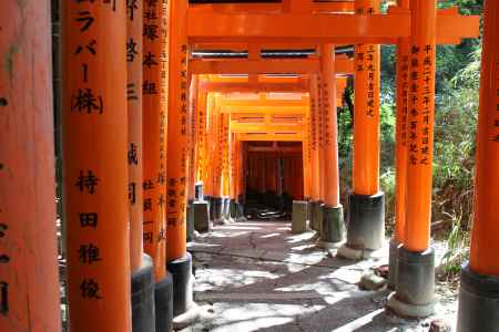 伏見稲荷大社　千本鳥居