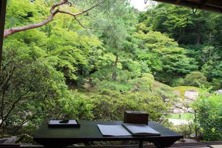 青蓮院　庭園を臨む１