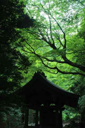 鞍馬寺　境内１
