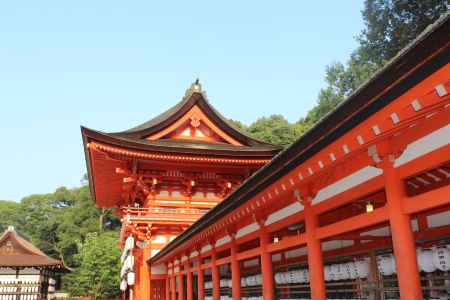 下鴨神社　境内５