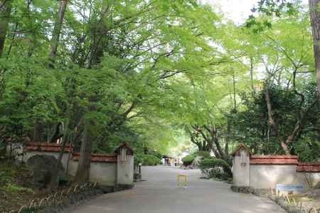 アサヒビール大山崎山荘美術館