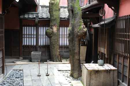 角屋　特別公開7