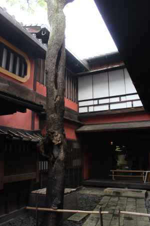 角屋　特別公開9