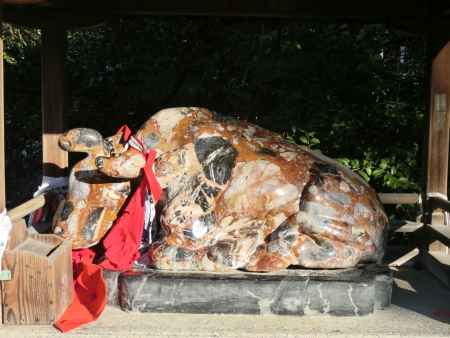 北野天満宮 牛1