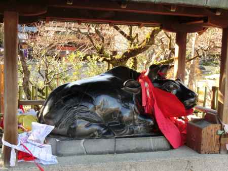 北野天満宮 牛2