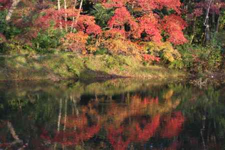 京都府立植物園