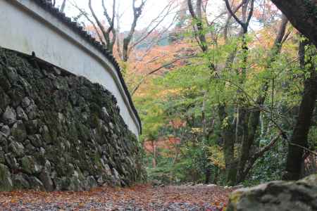 紅葉の高雄　高山寺　石水院3