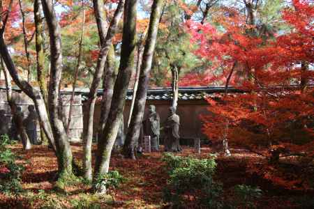 宝厳院の紅葉