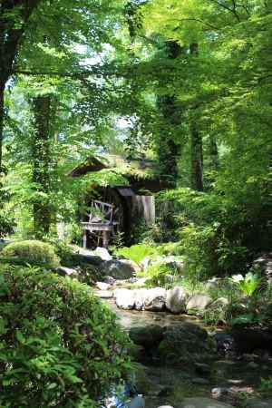 京都府立植物園