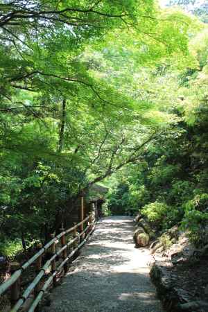 嵐山　大悲閣千光寺参道　