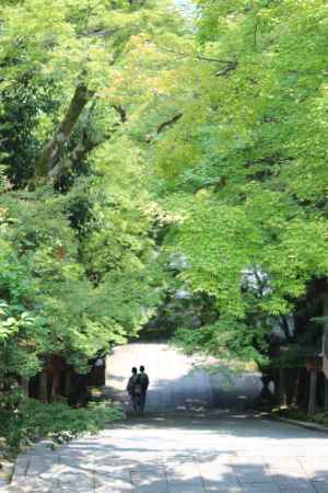 虚空蔵法輪寺　石段