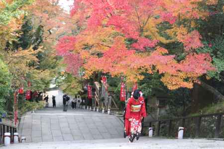 虚空蔵法輪寺の紅葉