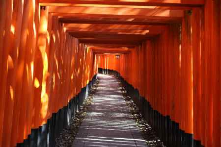 伏見稲荷大社千本鳥居1