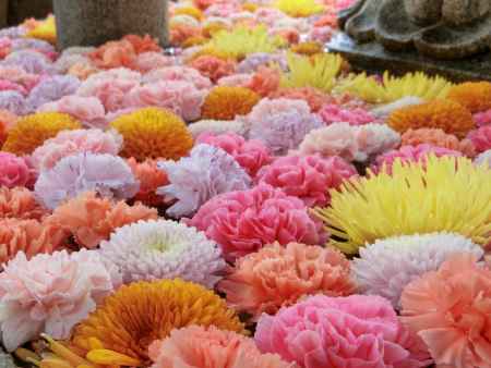 三室戸寺手水鉢4