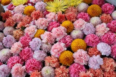 三室戸寺手水鉢2