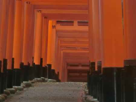 伏見稲荷　鳥居2