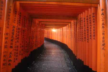 伏見稲荷　千本鳥居3