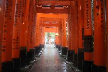 伏見稲荷　鳥居3