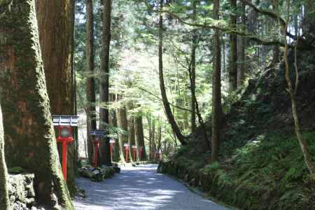 貴船神社　奥の院参道