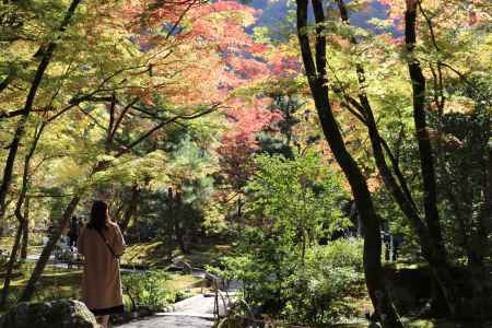 宝厳院　紅葉3