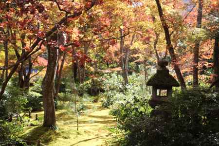 大河内山荘　紅葉4