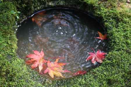 大河内山荘　紅葉5
