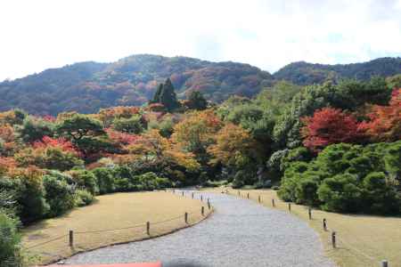 大河内山荘　紅葉6