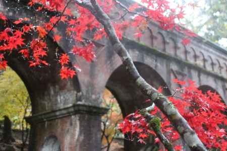 南禅寺水路閣　紅葉