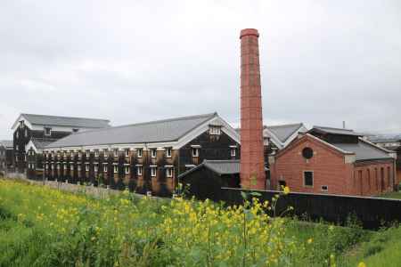 伏見　松本酒造