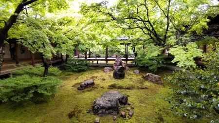 建仁寺　青紅葉