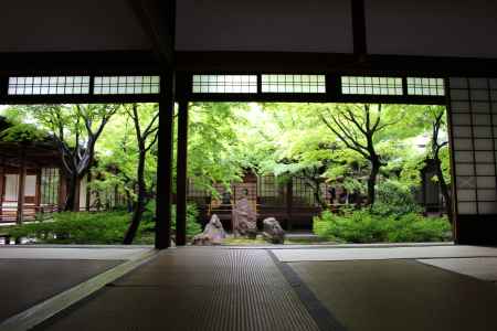 建仁寺　青紅葉2