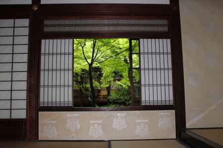 建仁寺　青紅葉