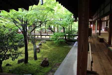 建仁寺　青紅葉4