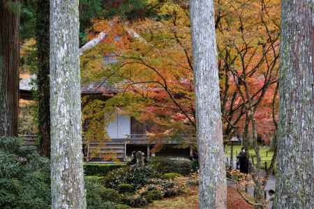 大原　三千院の紅葉8